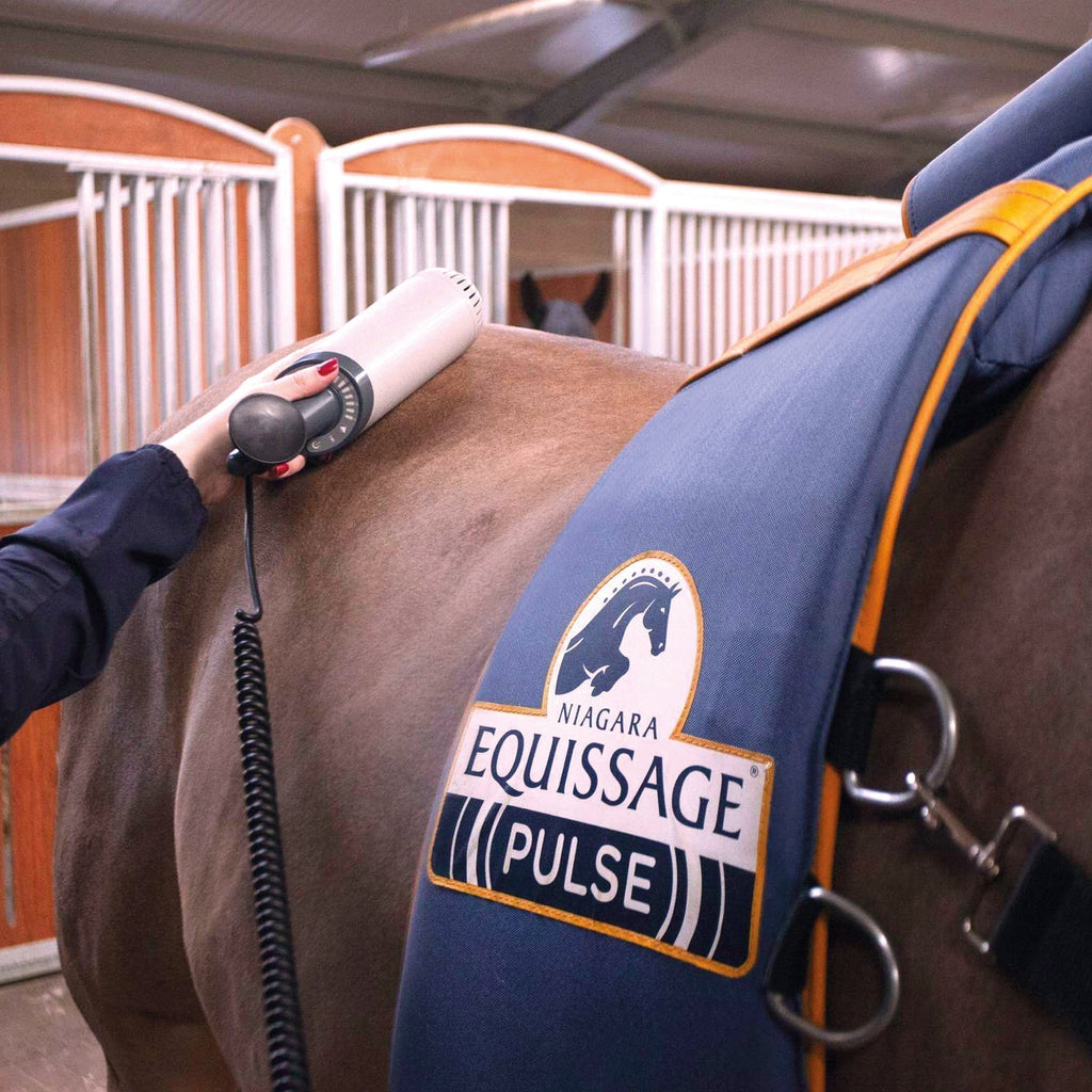 Power. Recovery. Results. Meet Equissage Pulse.